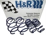 H&r 29803-2 Sport Lowering Springs For 96-00 Suzuki Swift. Fixed Price $215.95.