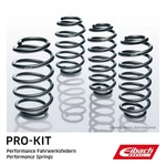 Suspension Set, Springs Eibach E10-20-038-02-22. Fixed Price $578.35.