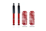 Pedders Ezifit Sportsryder Rear Spring And Shock Kit 05-14 Mustang 902222. Fixed Price $422.96.
