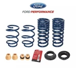 2015-2023 Ford Mustang Oem M-5300-XA 1" Front & Rear Lowering Springs Kit. Fixed Price $260.00.
