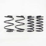 Rs-r N910D Front & Rear Down Lowering Coil Spring Kit For 09-14 Nissan Maxima. Fixed Price $239.08.