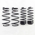 Rs-r H272D Down Sus Springs For 2009-2013 Honda Fit. Fixed Price $198.89.