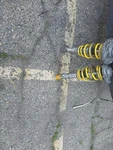 Kw Struts And Coilovers Kit. Fixed Price $175.00.