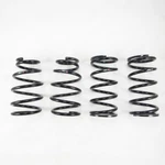 Rs-r Fit 2014-2020 Lexus IS250/350 Awd (GSE36) Down Sus Springs. Fixed Price $309.00.