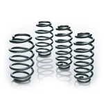 Eibach Pro-kit Lowering Springs E10-25-036-01-22 For Mercedes-benz. Fixed Price $299.00.
