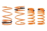 Megan Racing Lowering Coil Springs Fits Element 07 09 10 11 MR-LS-HE08. Fixed Price $194.55.