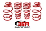 Bmr Suspension Lowering Springs SP052R. Fixed Price $340.99.