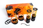 Mss Suspension Fits 02AHONCFK8 Honda Civic Type-r Adjustable Kit. Fixed Price $1360.00.