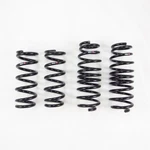 Rs-r N127D Rsr Down Sus Springs. Fixed Price $309.00.