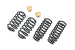 Belltech For Lowering Kit W/o Shocks. Fixed Price $488.99.