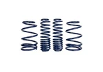 Ford Performance 2007-2017 Mustang Shelby GT500 Springs, M-5300-L. Fixed Price $229.49.