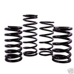 Integra Spring 310-5016-200 5"X 16" 200LB Rear Imca Circle Track. Fixed Price $78.99.