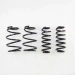 Rs-r T581D Prime Down Suspension Coil Springs For Toyota Prius 2017+. Fixed Price $273.49.