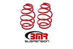 Bmr Fabrication Lowering Spring SP020R. Fixed Price $169.95.