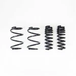 Rs-r T215D Down Sus Springs For Toyota Supra 2020-2021. Fixed Price $323.73.